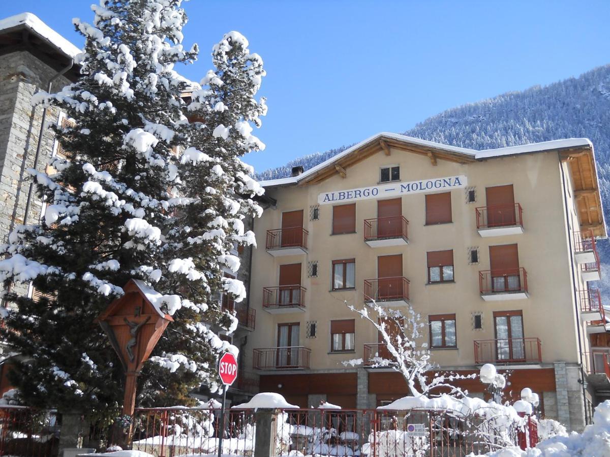 Albergo Mologna Gaby Exterior foto