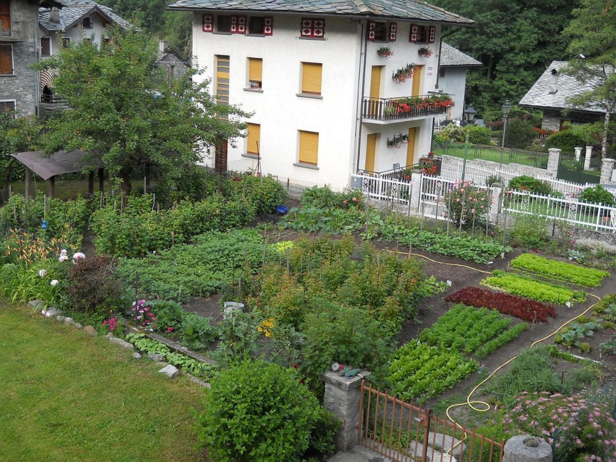 Albergo Mologna Gaby Exterior foto